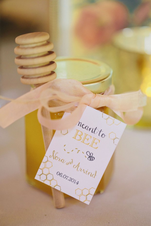 Saturday, June 7, 2014 Hanorah and Arvind's wedding at Oak Hill in Hudson, NY