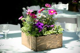 potted flower centerpieces